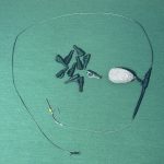 لید کلیپ سبز