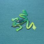 بچه قورباغه