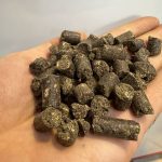 پلت ماهی کپور یک کیلویی