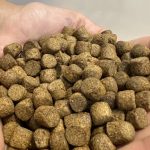 طعمه لوفاک قزل آلا یک کیلویی