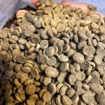 پلت ویژه 2 (اکسترود سینک کپور) یک کیلویی