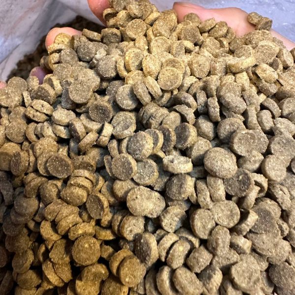 پلت ویژه 2 (اکسترود سینک کپور) یک کیلویی