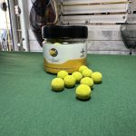 بویله وفتر پاپ Daal برند GMT