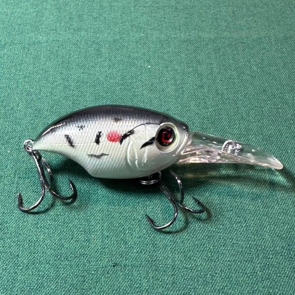 لوری استخوانی اردکی تپلی مشکی سفید 