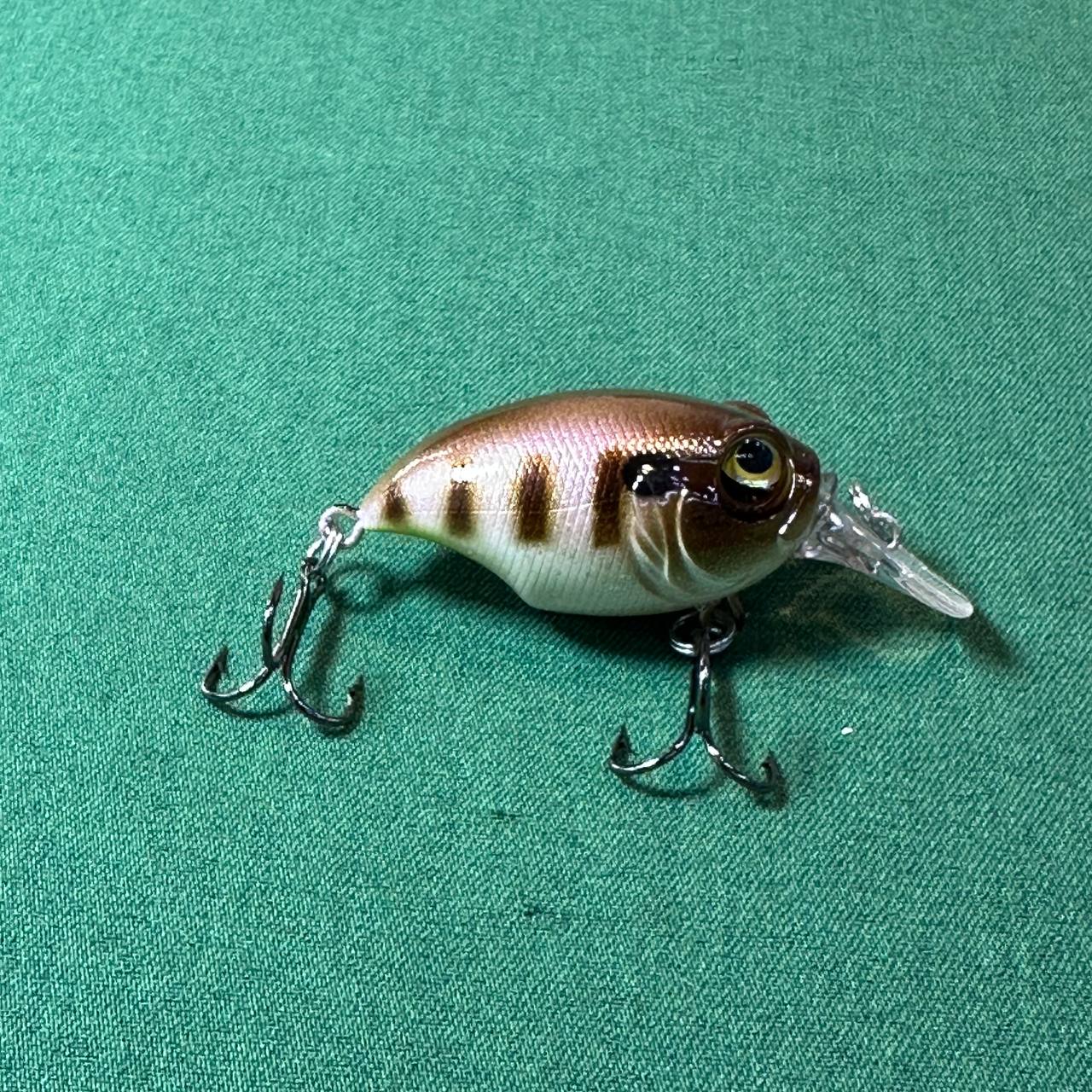 IMG_20251002_214326_853 لوری استخوانی اردکی تپلی خال قهوه ای - تصویر 1