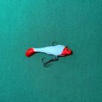 ماهی ژله ای (دم و سر ردهد)