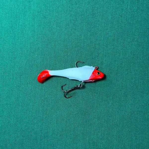 ماهی ژله ای (دم و سر ردهد)