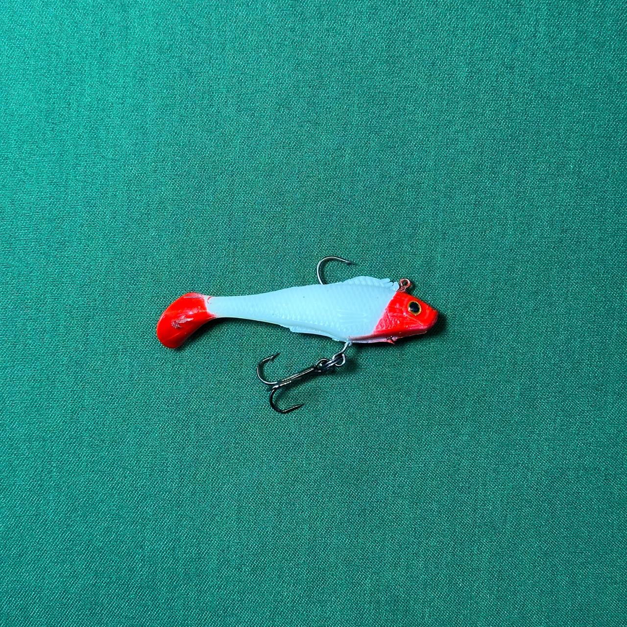 IMG_20251003_021422_516 ماهی ژله ای (دم و سر ردهد) - تصویر 1