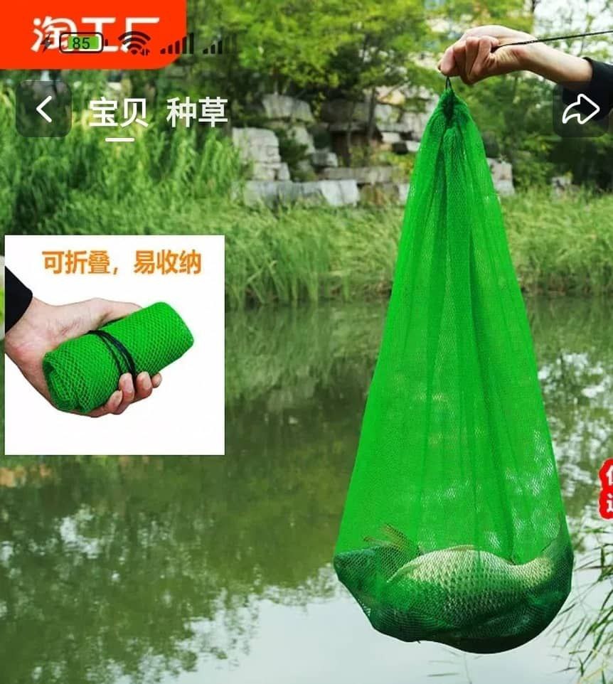 IMG_20251008_152725_707 زنده نگه دار ساده بزرگ 80cm - تصویر 1