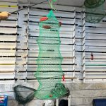 زنده نگه دار شناور دار 5 حلقه