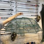 گرگور 10 چشمه