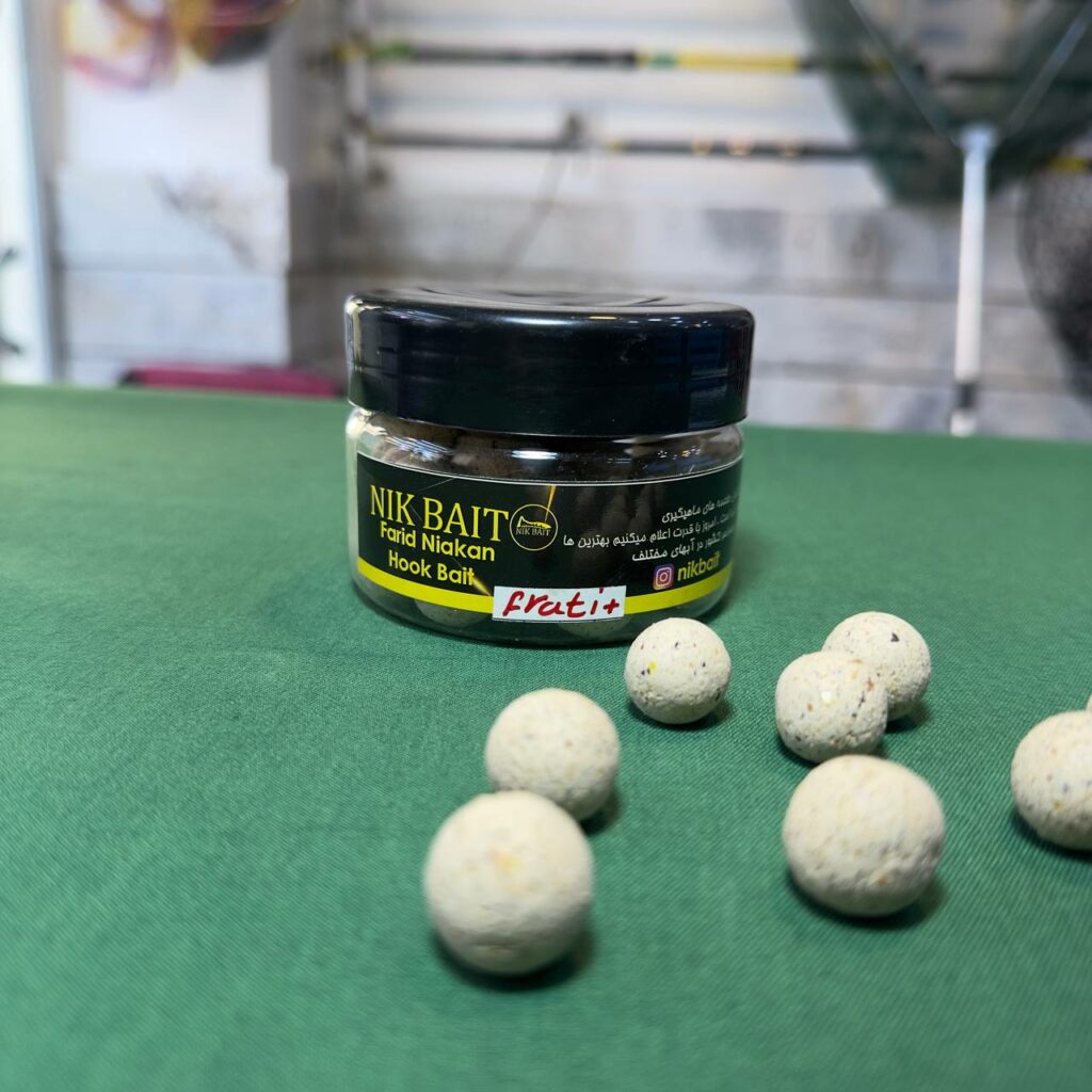 ماهیگیری آسان 28 IMG 20251130 183710 491