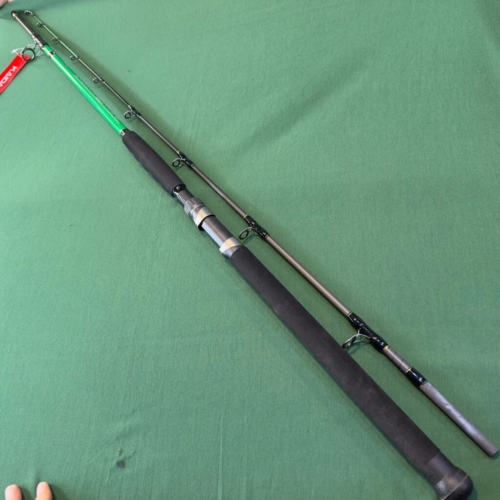 ماهیگیری آسان 29 IMG 20251130 183908 122