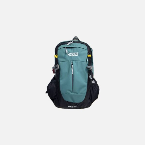 کوله پشتی دنا سبز 25 لیتری