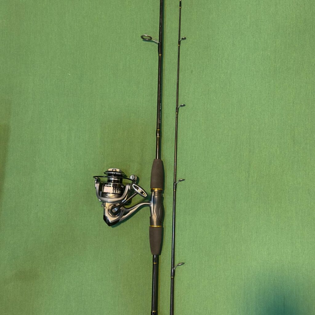 ماهیگیری آسان 28 IMG 20251228 112951 271