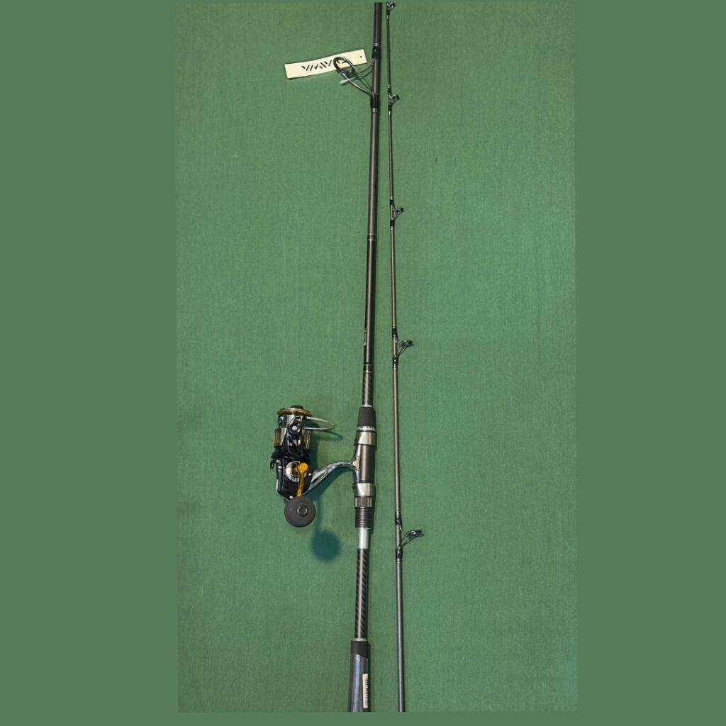 ماهیگیری آسان 29 Polish ۲۰۲۵۱۲۲۸ ۱۱۲۵۳۰۸۱۴