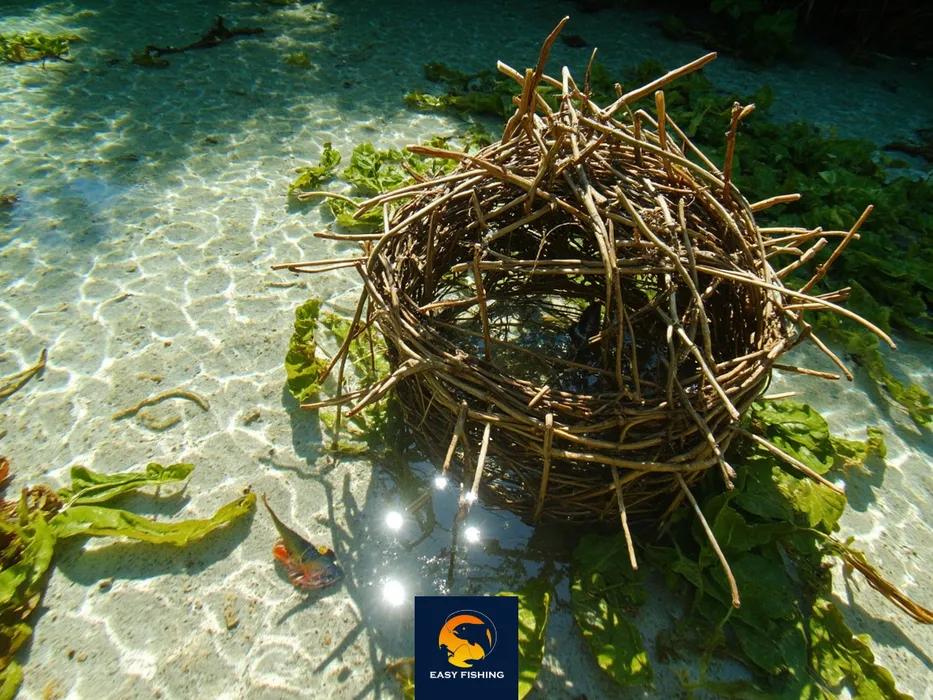 تله ماهیگیری دست‌ساز در رودخانه زلال، صید هوشمندانه ماهی