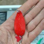 قاشقک قرمز اکلیل دار گلدن 15 گرم